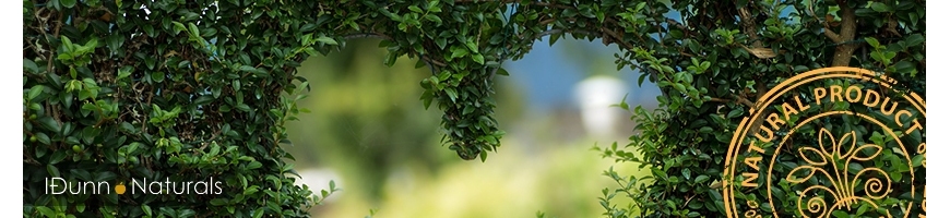  BIAŁA HERBATA Lysnurr