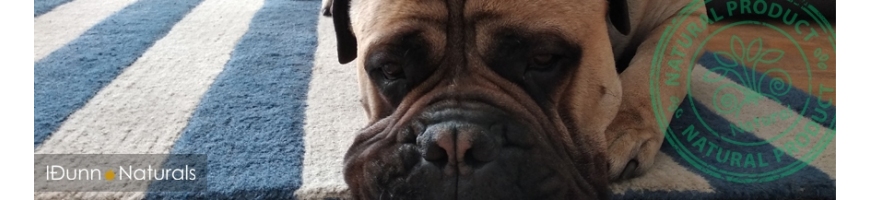 Naturalne kosmetyki dla psa